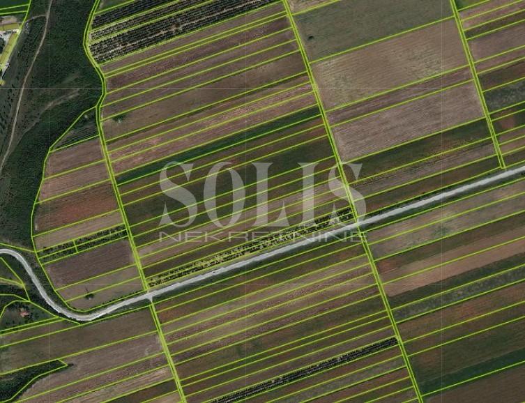 ZEMLJIŠTE, Neradin, Neradin | Šifra: 6500470