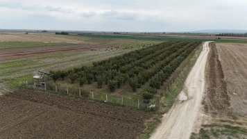 ZEMLJIŠTE, 0.59 ha, Kovilj, Kovilj