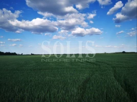 ZEMLJIŠTE, 0.58 ha, Čurug, Livade