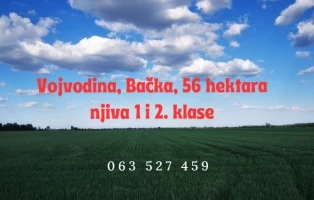 ZEMLJIŠTE, 56.72 ha, Mali Iđoš, Mali Iđoš