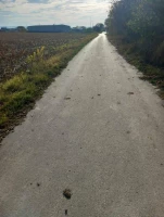 ZEMLJIŠTE, 1.99 ha, Novi Sad, Pejićevi salaši